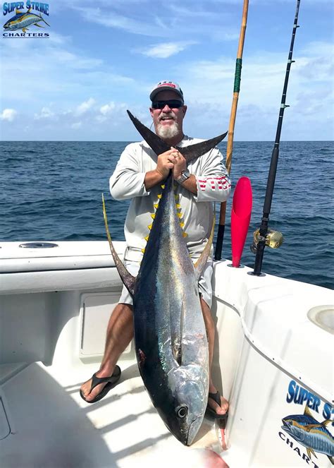 20 Best Snook Fishing Spots .